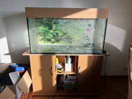 Aquarium d'occasion avec meuble