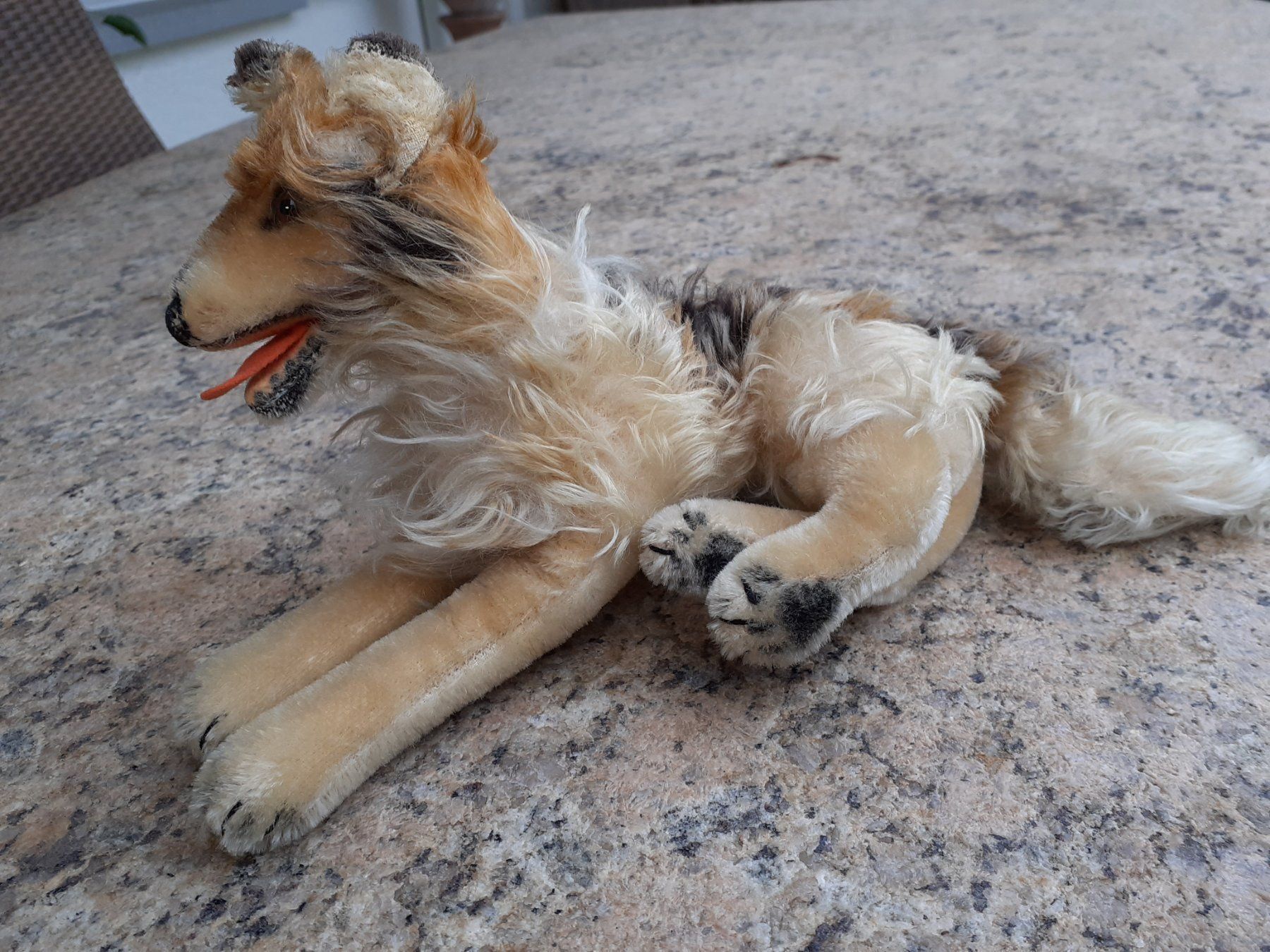 Steiff Giocattoli: Stofftier Steiff Collie antik – Usato da Mörschwil venduto da lindaswunderkiste 8