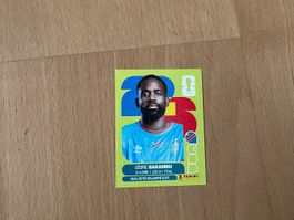 Panini Sticker
