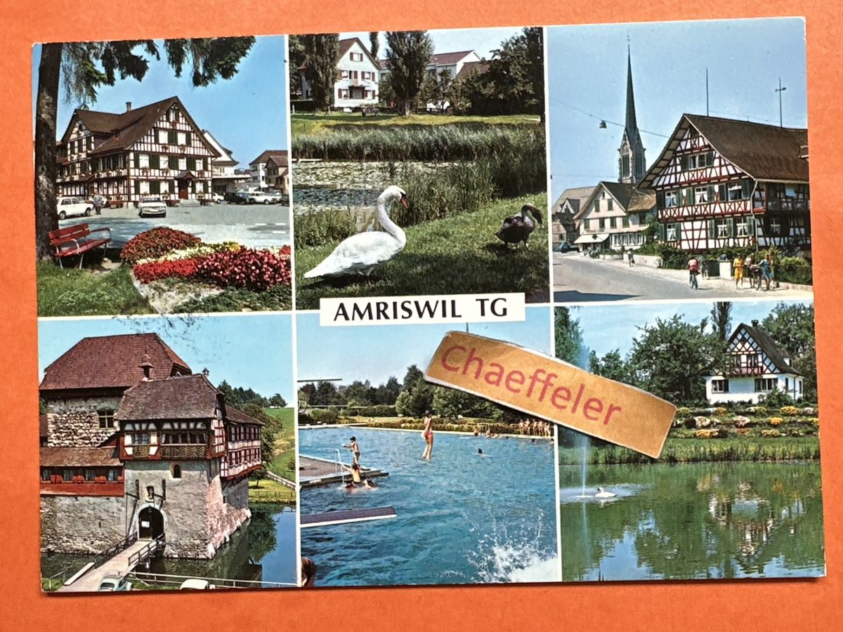 Cartoline postali: 1975 AMRISWIL TH – Usato da Zürich venduto da Chaeffeler