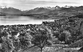 Wädenswil (ZH) – Veduta della città con le Alpi