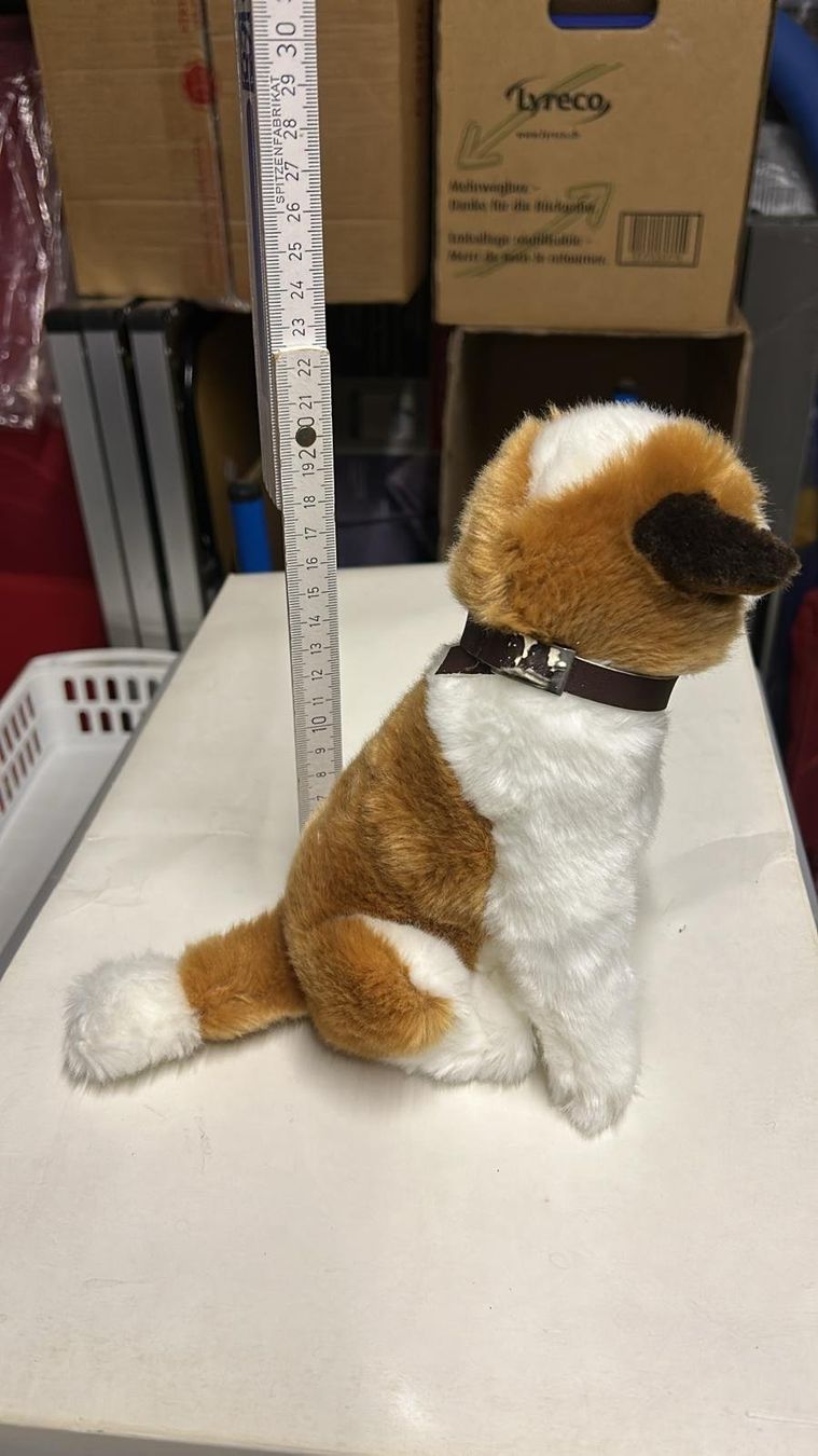 Giocattoli: Peluche cane San Bernardo – Usato da Melano venduto da H-Sara 1