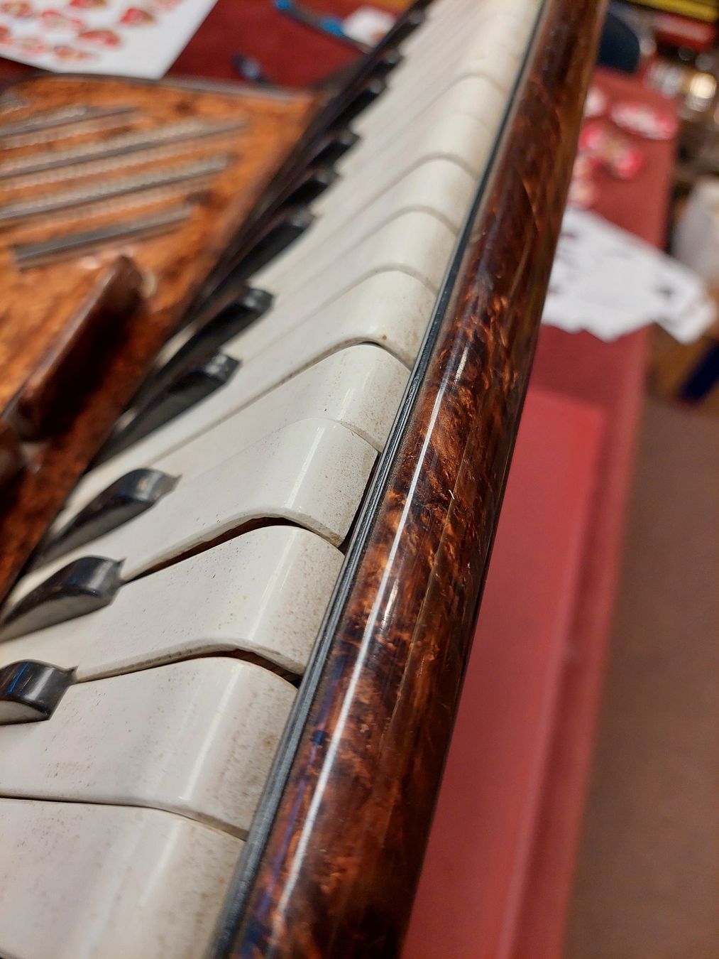 Instruments de musique: Akkordeon - seltenes Modell – Défectueux à Davos-Platz par musikhauskollegger 4