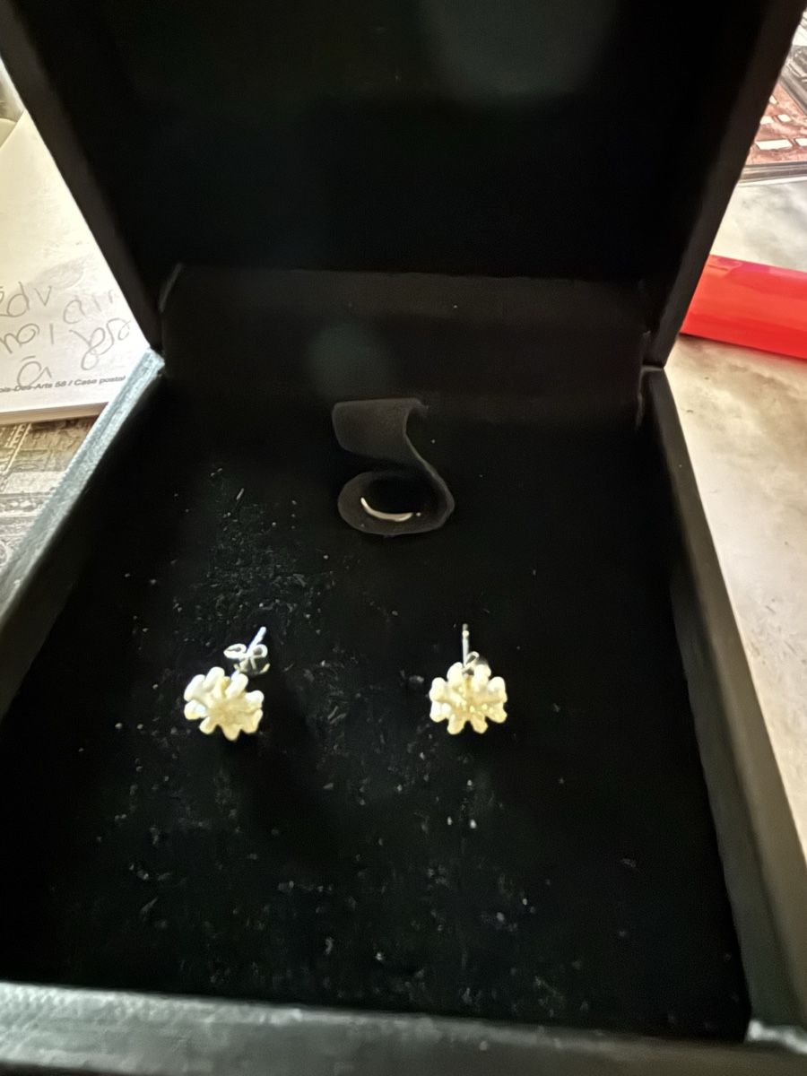 Boucles d'oreille: Cloux d'oreilles flocons de neige – Neuf (Voir description) à thonex par Ktoun 1