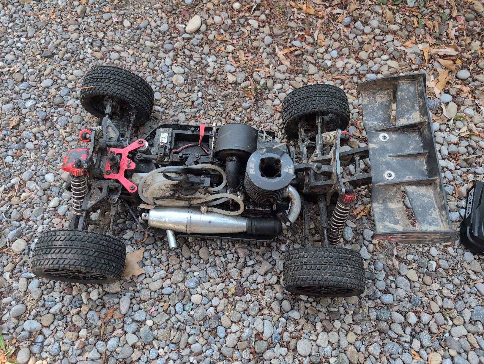 Reely Modellismo RC: RC Nitro Buggy von Reely – Difettoso da Berg TG venduto da sil_ml8m 2