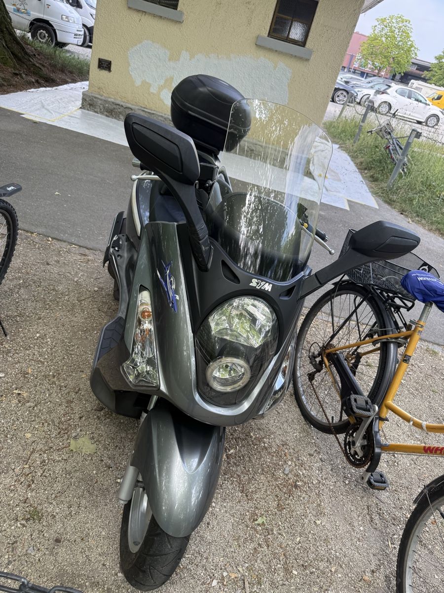 Sym Scooter: Sym 250 30.000km – Usato da Luzern venduto da TheDoctor05 4