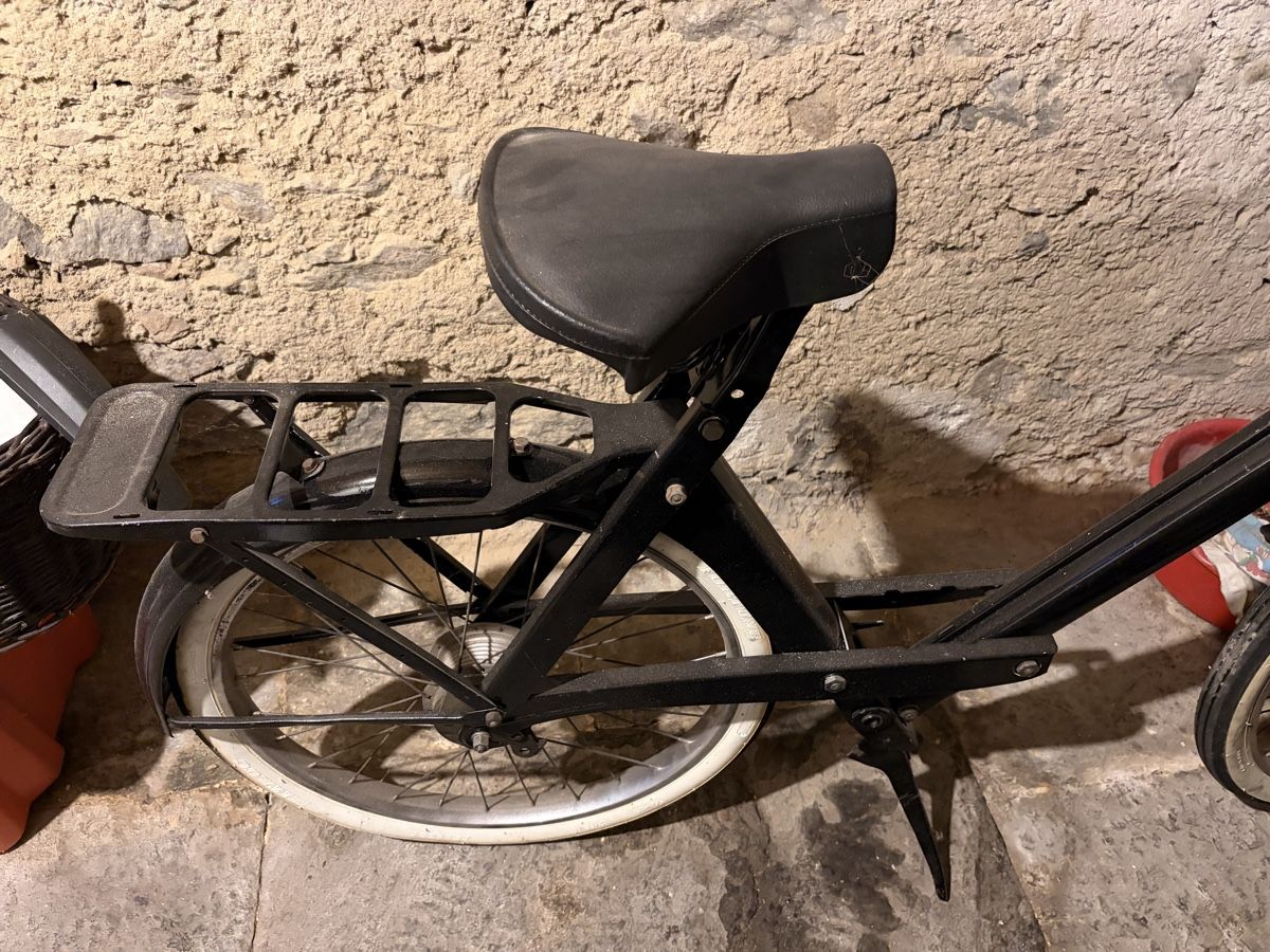 Solex Ciclomotori: Velo solex – Usato da Giornico venduto da gio_2k5q 1