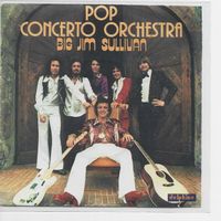 Pop Concerto Orchestra  --  Big Jim Sullivan  Single7