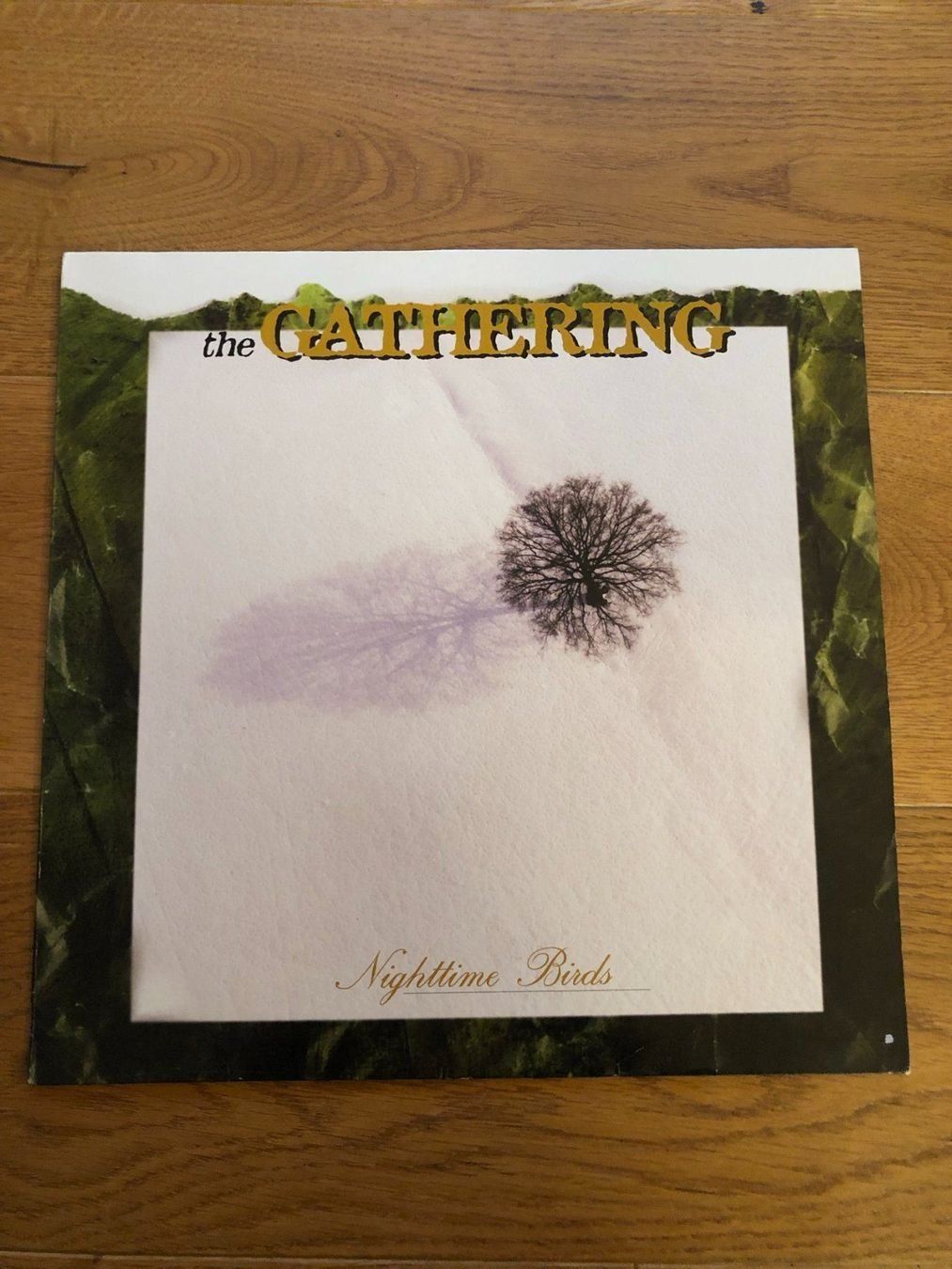 Dischi in vinile: The Gathering - Nighttime Birds – Usato da Liebefeld venduto da type013