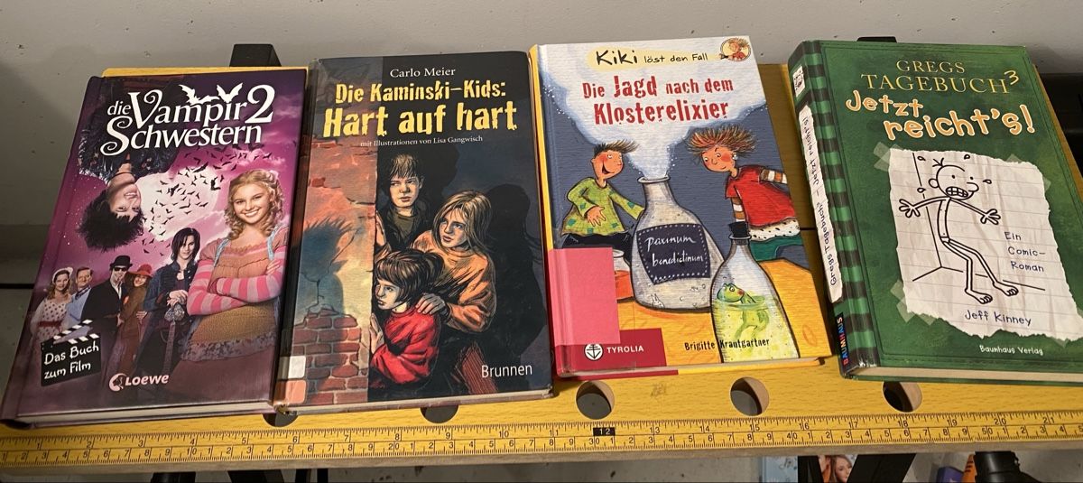Libri: 4 Kinderbücher - Vampirschwestern, Gregs Tagebuch uvm. – Usato da Volketswil venduto da Ahot 1