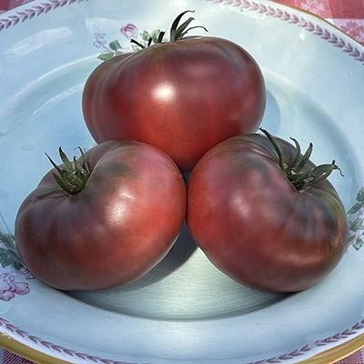 Piante & sementi: Tomate cherokee Purple 10g – Nuovo (secondo la descrizione) da Bremblens venduto da FIBONACCI369 2