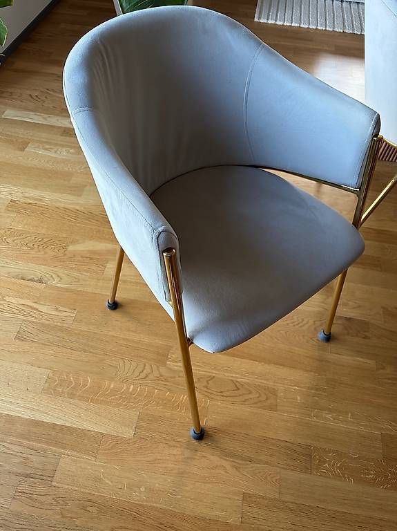 Sedie: 6 Samtstühle Beige mit goldigen Beinen – Usato da Wädenswil venduto da sinuuro 1