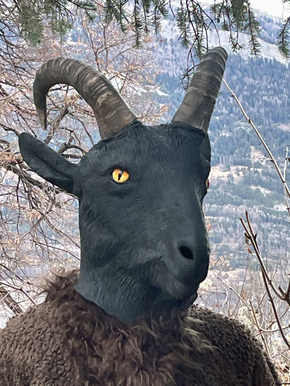 Costumi: Steinbock-Kostüm Braun – Nuovo (secondo la descrizione) da Chur venduto da elifor 4