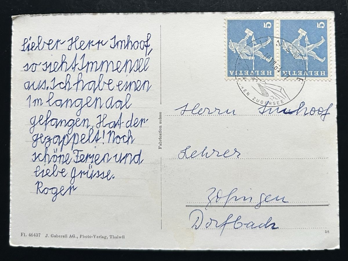 Cartoline postali: Flugaufnahme Immense  – Usato da Horw venduto da Tellbub 1