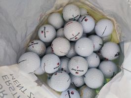 50 Wilson Staff Golfbälle