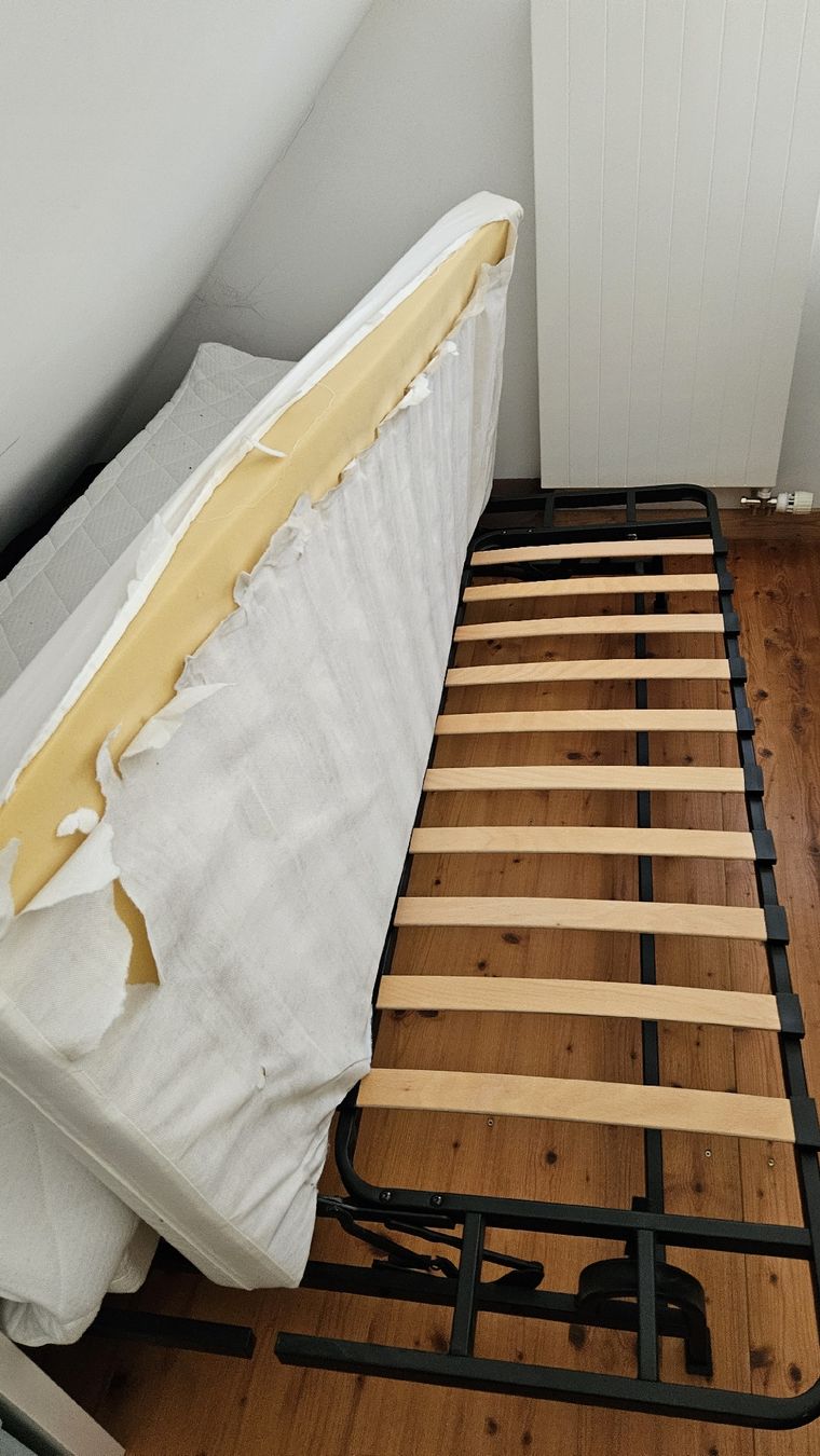 Divani: Bettsofa – Usato da Bern venduto da Freykwone 4