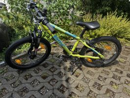 BMC Sportelite 20 Kindervelo, 20 Zoll, Federgabel