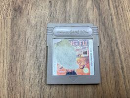 Kung fu Master Nintendo Game Boy Spiel