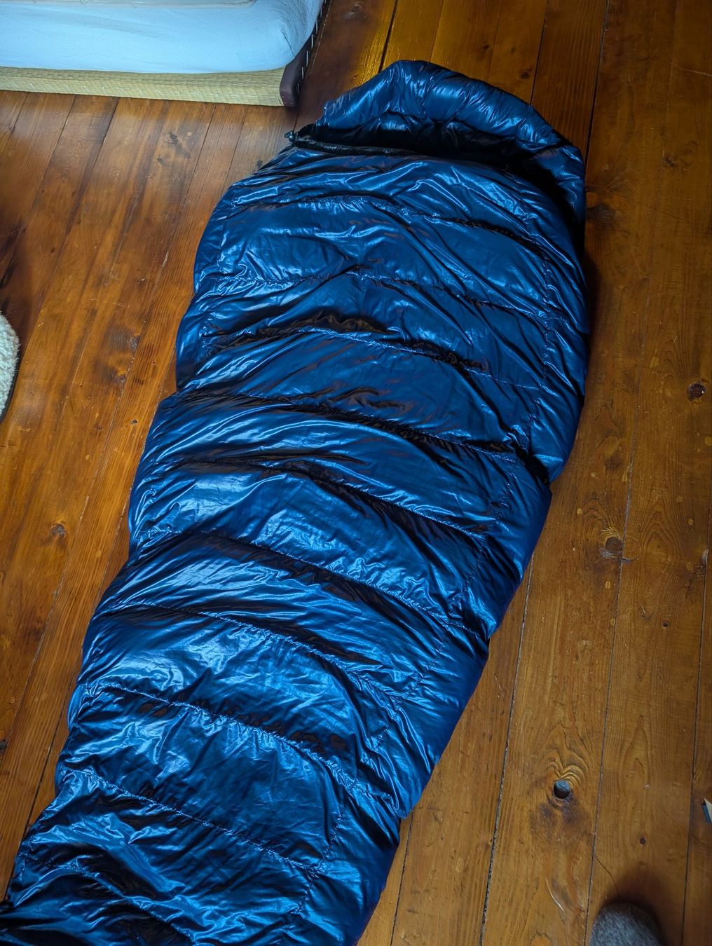 Sacchi a pelo: Western Mountaineering Lynx, L – Nuovo e nell'imballaggio originale da Zwischenflüh venduto da be6543