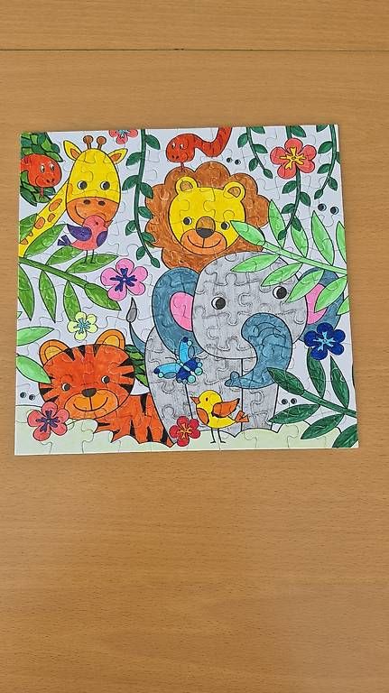 Puzzle: Puzzle jungle 100 pièces – Usato da Bevaix venduto da gig_79v5 1