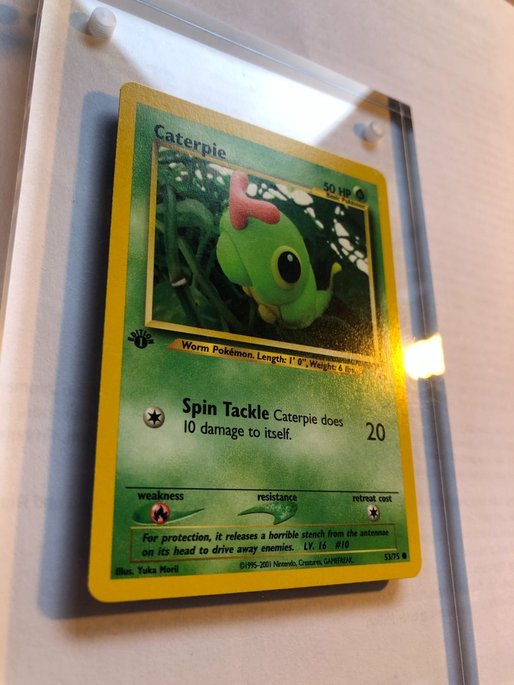 Carte collezionabili: Caterpie 1st Neo Discovery - MINT - ab 1.- – Usato da Giubiasco venduto da dan_pr8b 1