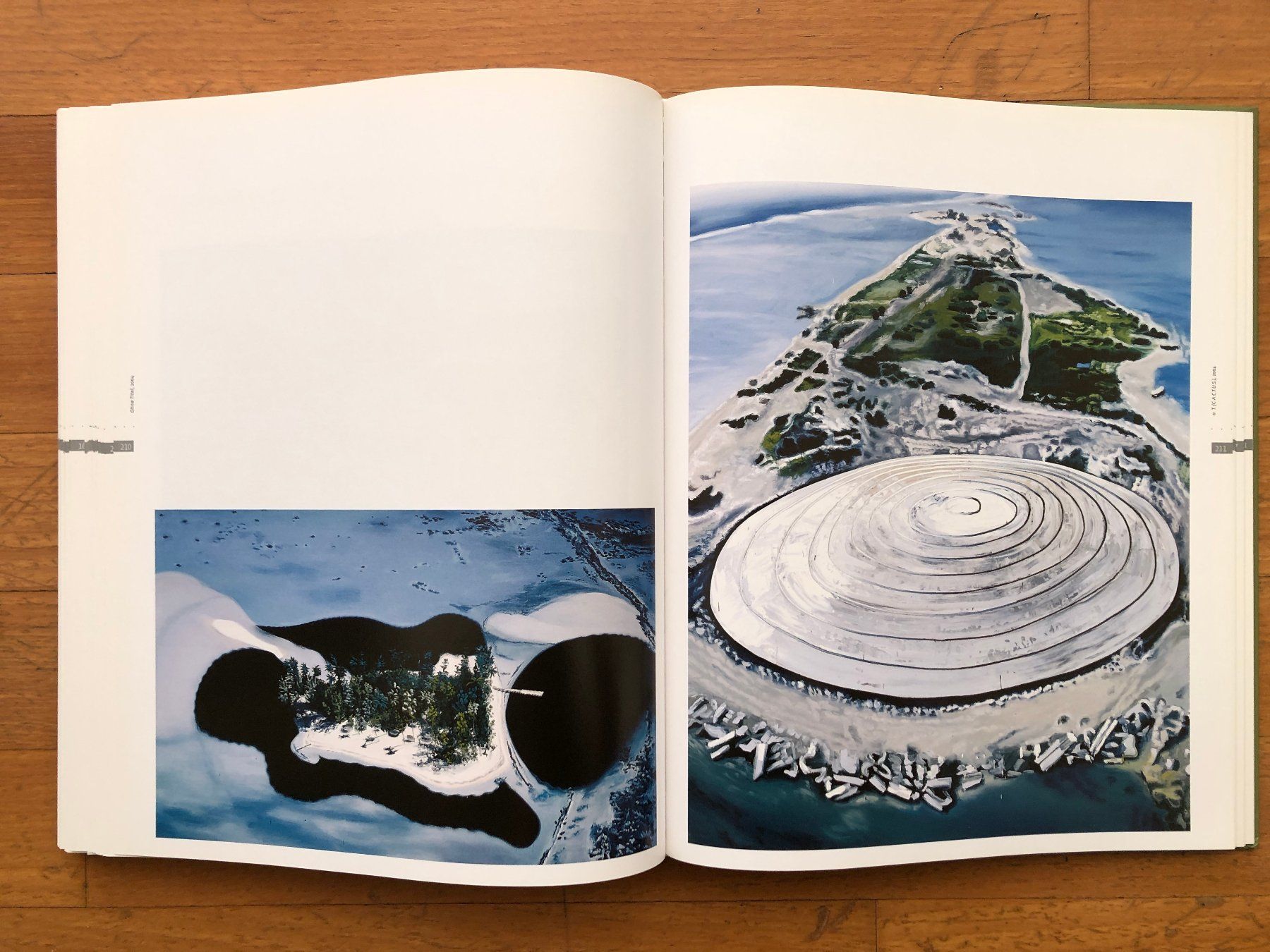 Libri: Kunst Buch: Idyll - Illusion and Delusion – Usato da Lugano venduto da gio.yo 5