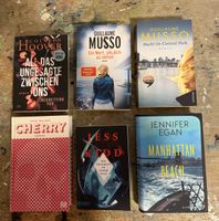 6 Bücher von Hoover, Musso, Walker, Kidd, Egan