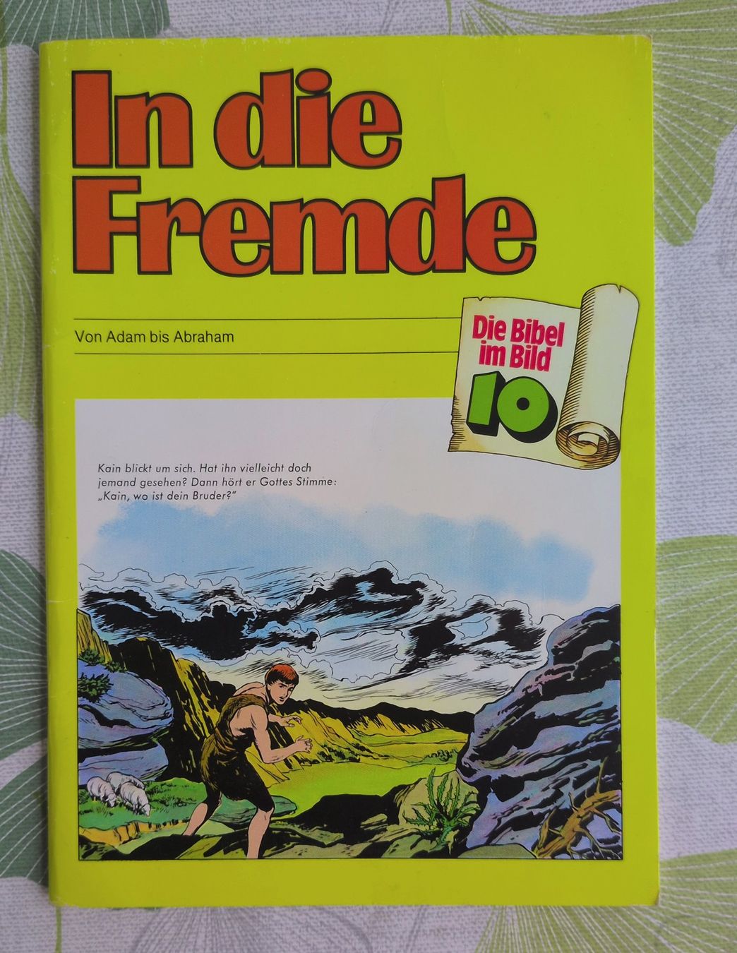 Fumetti: In die Fremde - Bibelcomic – Nuovo (secondo la descrizione) da Ottikon venduto da sobsale