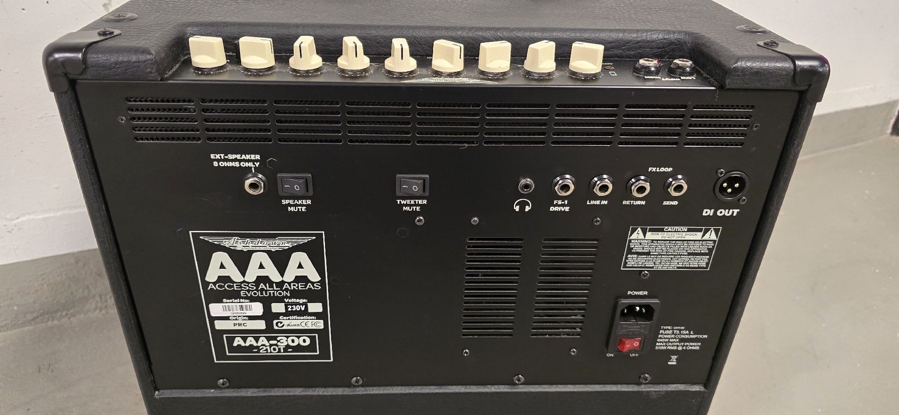 Ashdown Engineering Amplificatori: Ashdown AAA 300-210T mit Box 115T – Usato da Emmetten venduto da Amelandrea 2