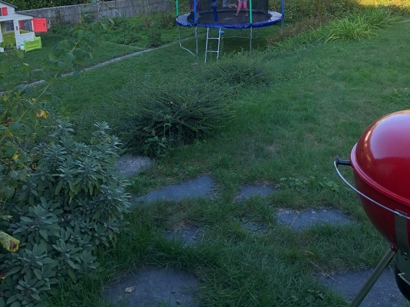 Trampolini: Trampolin schon verpackt – Usato da Baden venduto da mgeormezi