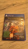 Shadows Awakening PS4 jeu vidéo