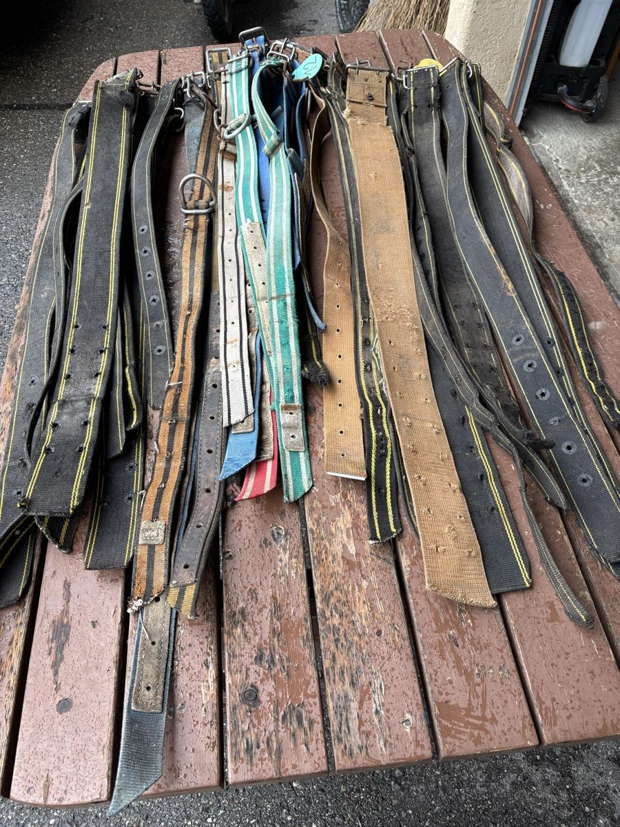 Glocken & Treicheln: 35 Stk. Kuhhalsbänder/ Nylonriemen – Gebraucht aus Schangnau von Roseggli82 5