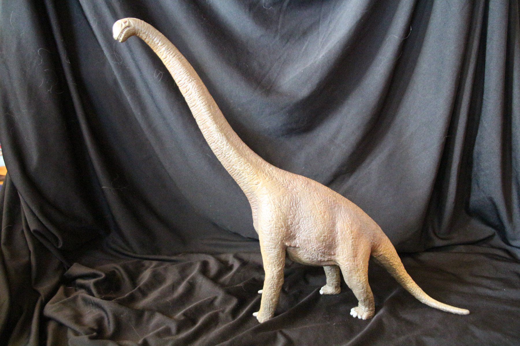 Schleich Spielzeuge: Schleich Dinosaurier Brachiosaurus – Gebraucht aus Eschlikon TG von Spitzmuus