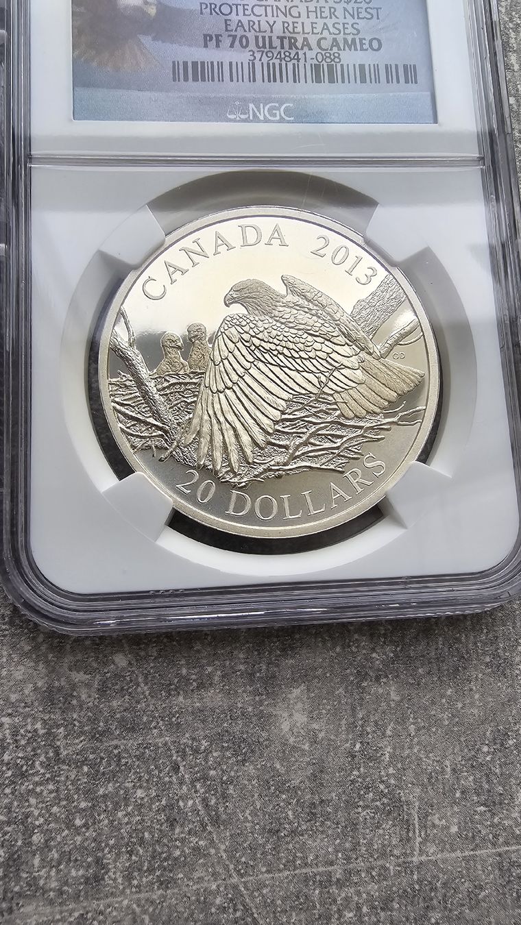 Tutti le monete: 2013 Bald Eagle Canada 1 oz Silver PF70 Ultra Cameo – Nuovo (secondo la descrizione) da Petit-Lancy venduto da SilverCoinCoin