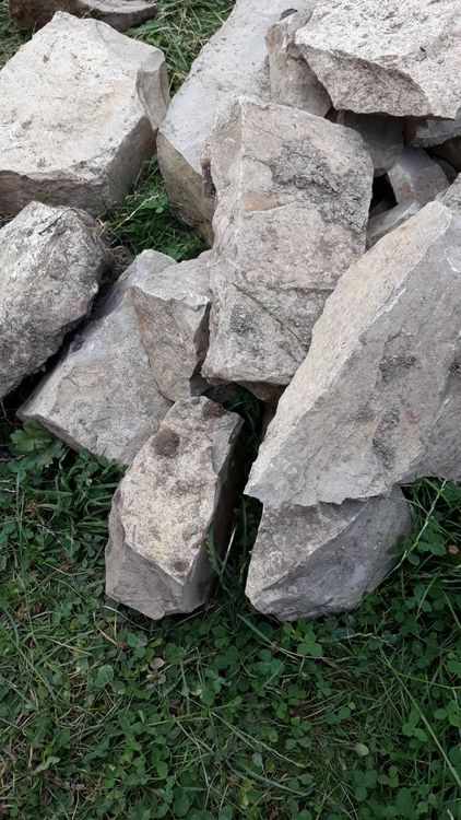 Kalksteine, Jurasteine Kaufen auf Ricardo