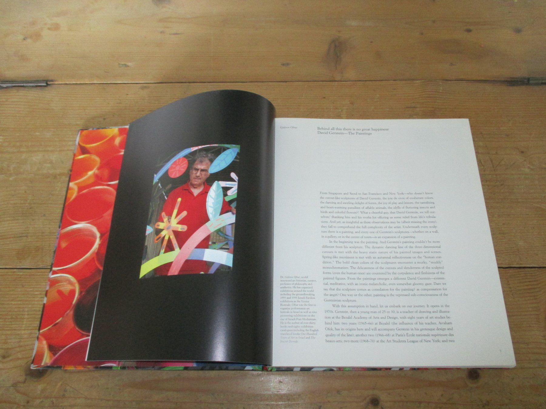 Libri: David Gerstein "Past and Present" Kunstbuch – Usato da Flims - Dorf venduto da Stagediver 2
