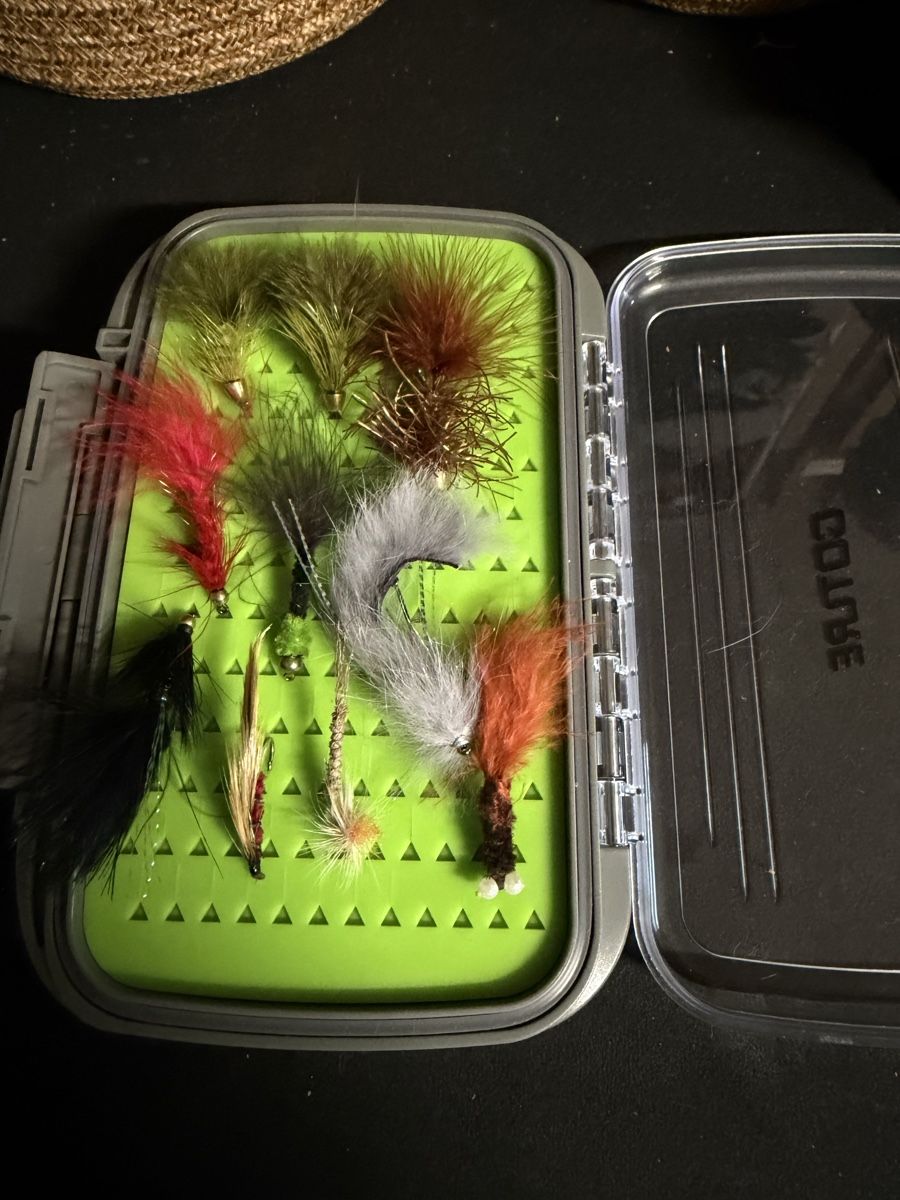 Esche: Fliegen mit Box – Nuovo (secondo la descrizione) da Mels venduto da festung4 1