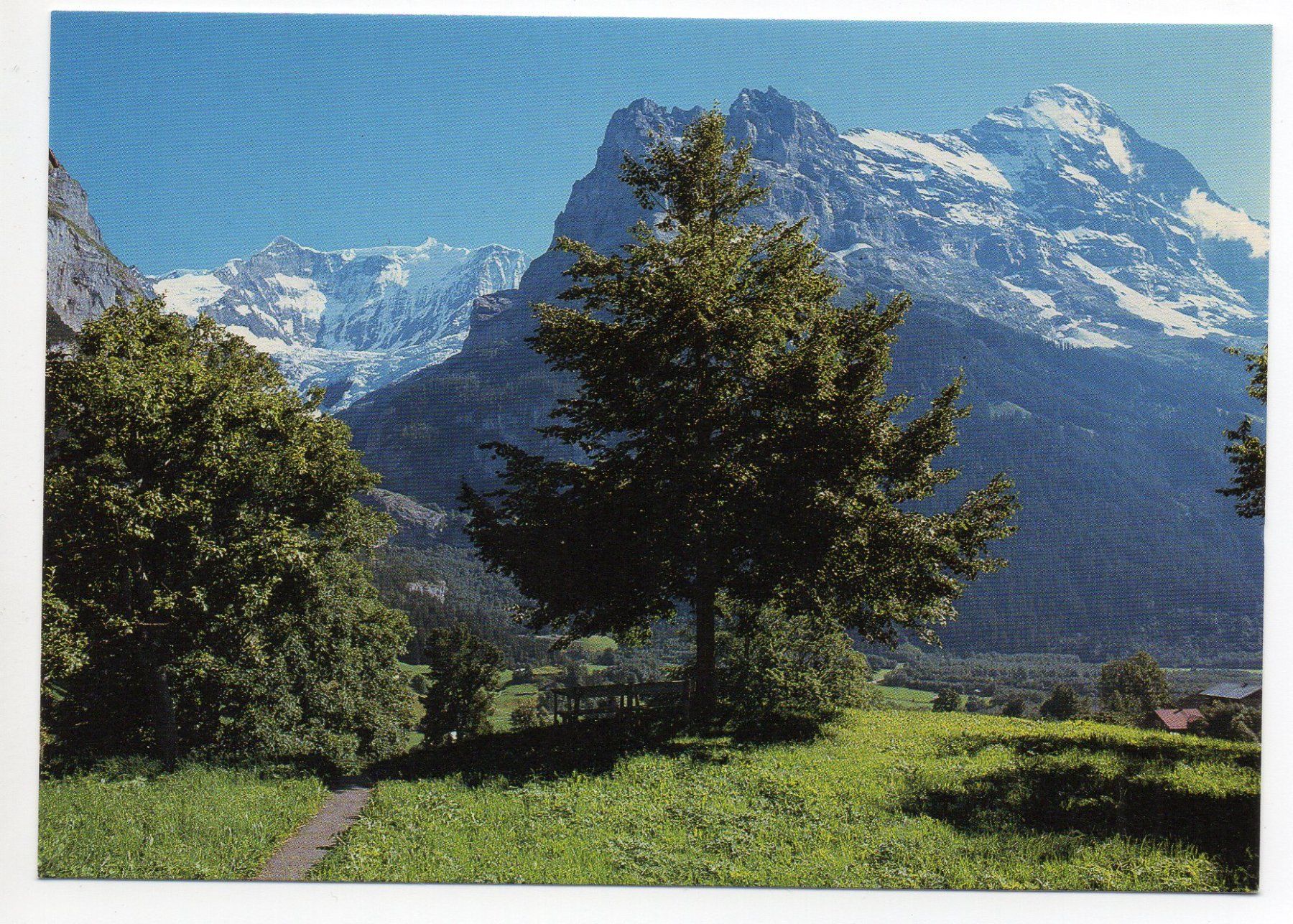 Cartoline postali: GRINDELWALD Fiescherwand Eiger – Usato da Jona venduto da philajona