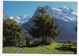 GRINDELWALD Fiescherwand Eiger