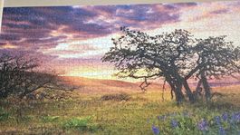 Panorama Puzzle 2000 Teile mit Baum und Sonnenuntergang NEU
