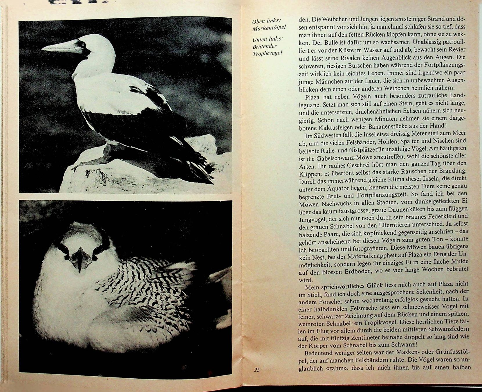 Libri: SJW 1219 Willi Dolder  Galapagos  EA 1973 – Usato da Reitnau venduto da Zaomir 6