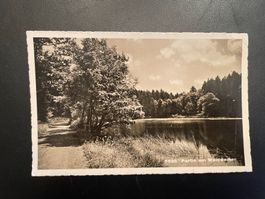 AK ZH Partie am Waldweiher Thalwil (Stempel Oberrieden)