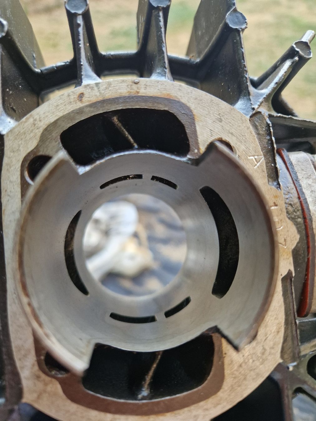 Puch Ciclomotori: Metrakit 47mm Puch maxi o simili – Usato da Breno venduto da BorioliD 8
