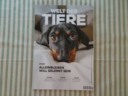 Magazin Welt der Tiere Nr. 2/26 NP: Fr. 11.50 - 260305