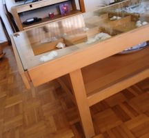 Table basse en bois orginale