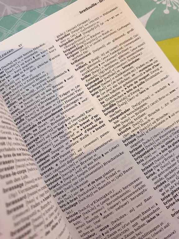 Bücher: Dictionnaire français allemand – Gebraucht aus Chamoson von Chricou7 2