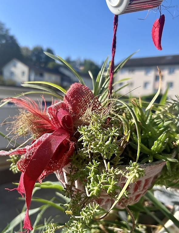 Tutte le decorazioni: Pflanzen in der Gugelhupfform  – Nuovo e nell'imballaggio originale da Frauenfeld venduto da Irene.Schuppli 1