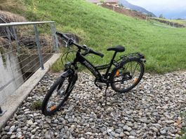 Jugendfahrrad Pegasus Avanti
