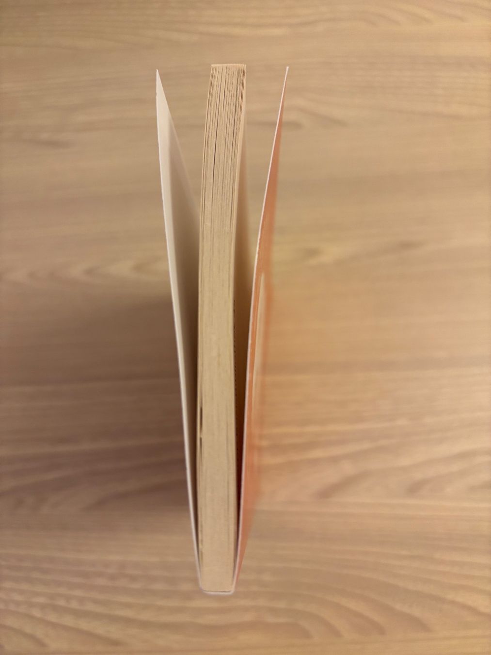 Libri: Der Sandmann, E.T.A. Hoffmann – Usato da Niederrohrdorf venduto da Madoqua 3