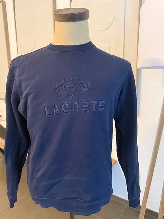 Lacoste Pullover 